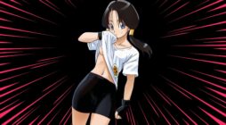 videl image principale